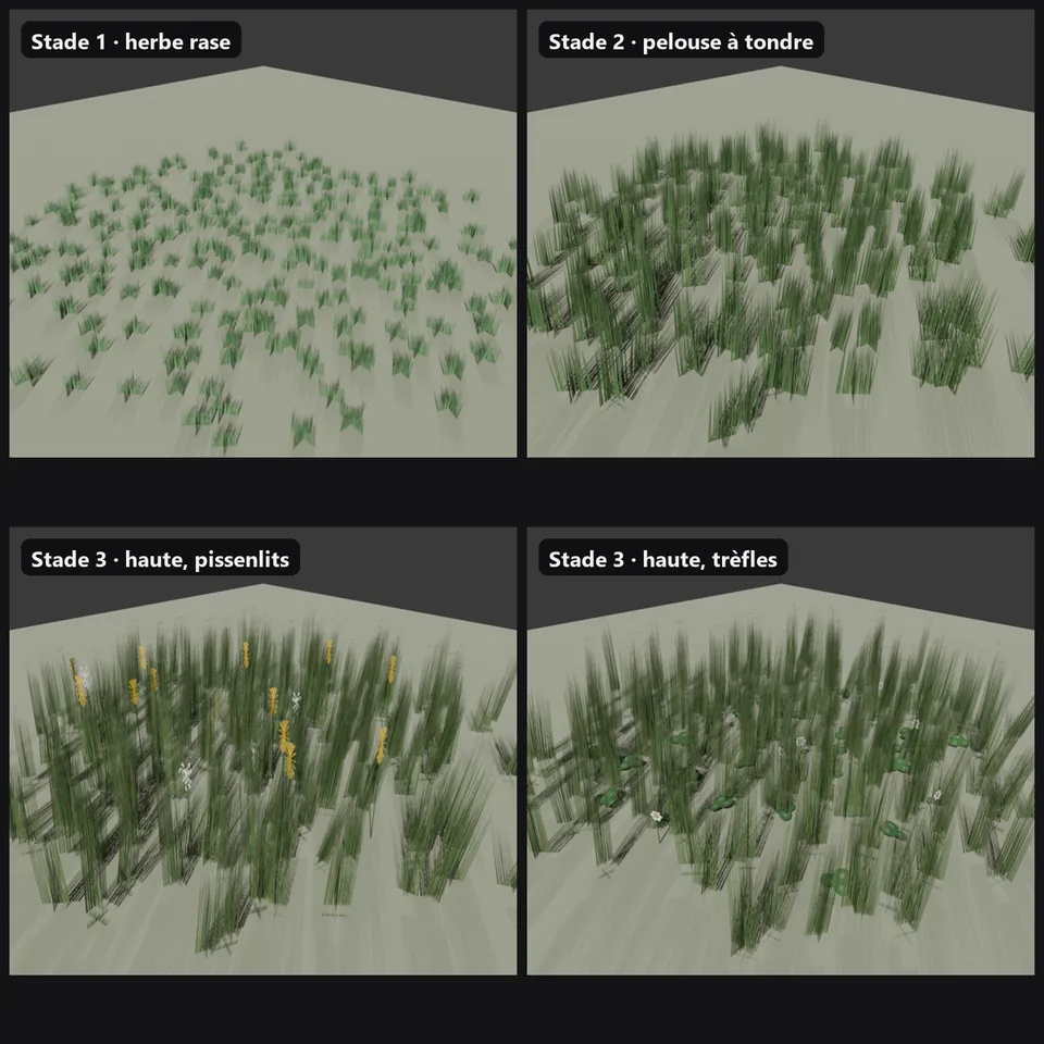 Quatre stades de pousse de l'herbe, de l'herbe rase à l'herbe haute avec pissenlits ou trèfles